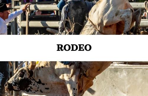 Rodeo