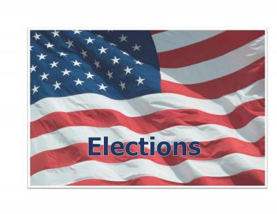 Election Flag