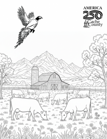 June 2026 Coloring Contest