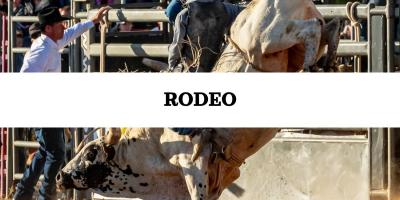 Rodeo