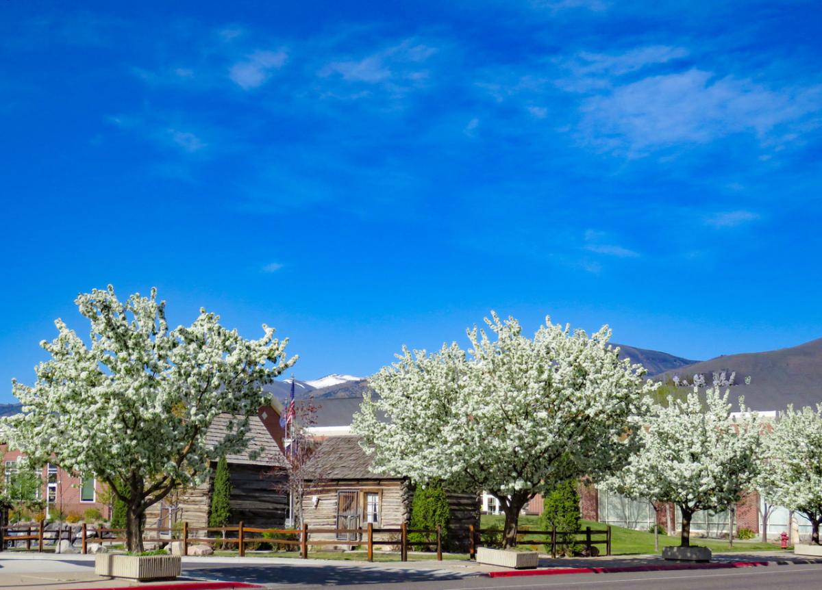 Candy Cabins